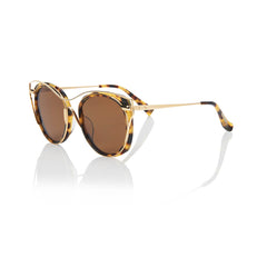 SINGAPORE (Honey Tortoise and Gold Metal with Solid Brown Lens)