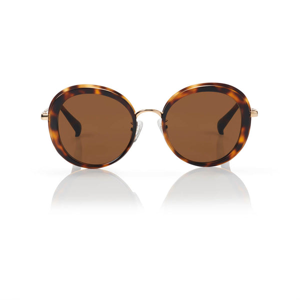 PORTOFINO (Honey Tortoise and Gold Metal with Solid Brown Lens)