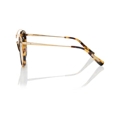 SINGAPORE (Honey Tortoise and Gold Metal with Solid Brown Lens)